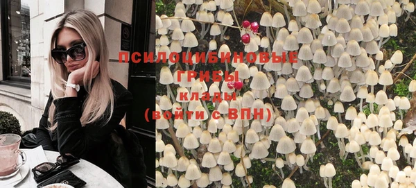 спайс Аркадак