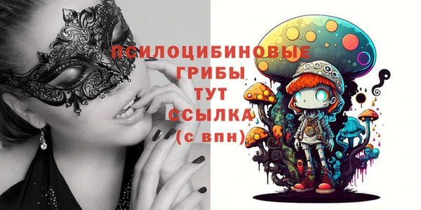ПСИЛОЦИБИНОВЫЕ ГРИБЫ Саяногорск
