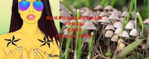 скорость Балахна