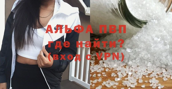 шишки Баксан